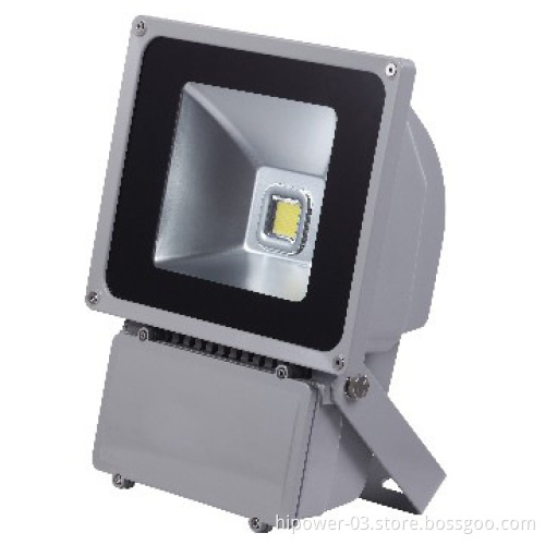 80W FloodLight lamp CE SAA RoHS ETL listed IP65 Bridgelux LED Chip